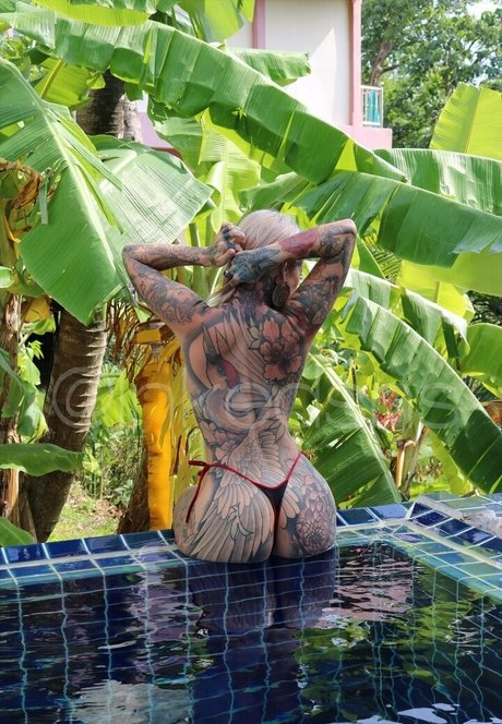 inkedxsns pornstar free gallery