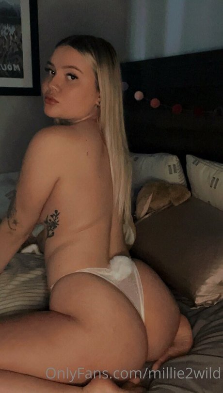 millie2wild star art photos