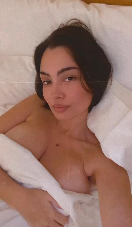 Adelaide T star perfect galleries