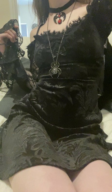 Apricot high quality star picture