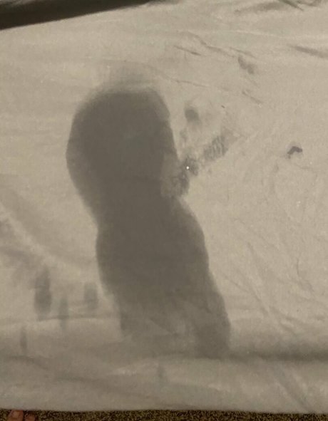 celestelunaxo nice actress pics