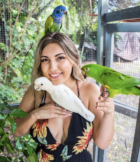 Gabby Nikolle high quality actress pic