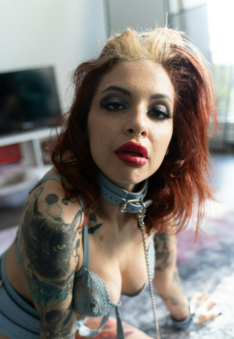 I Am The Daddy art pornstar photo