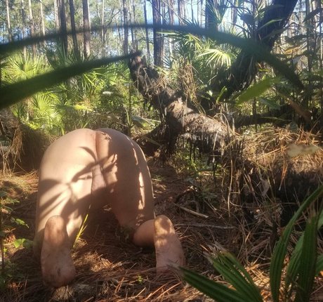 taranyiff perfect actress pics