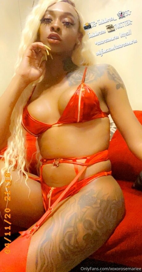 xoxorosemariee pornstar best photos