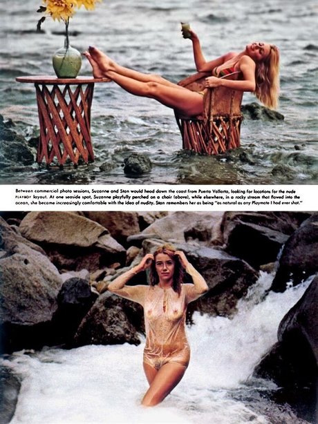 Suzanne Somers star pretty pictures