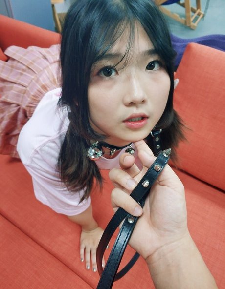 chengzidasi perfect star pic