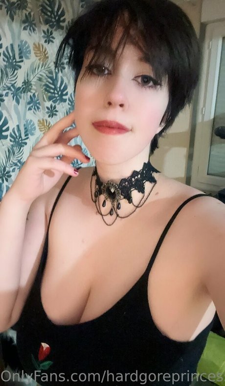 hardgoreprincess hd pornstar galleries