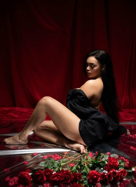 dabofhalovip sexy pornstar pics