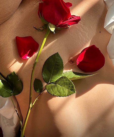 kittymekelsey star pretty gallery