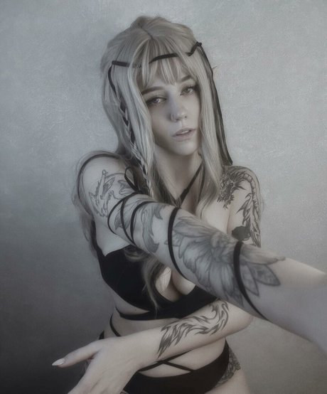 Dolchstosss model pretty picture