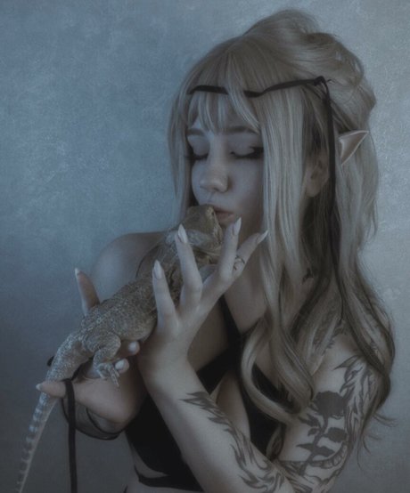 Dolchstosss star adult pics