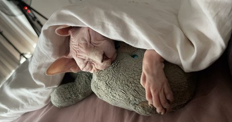 sxvvk pornstar naked photo