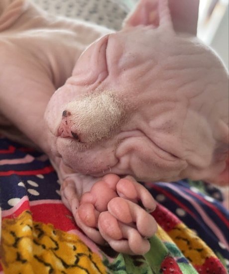 sxvvk pretty actress archive