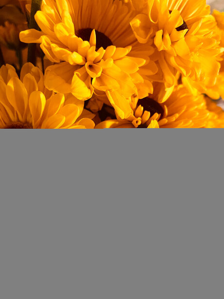 Desi Grace star sexy gallery