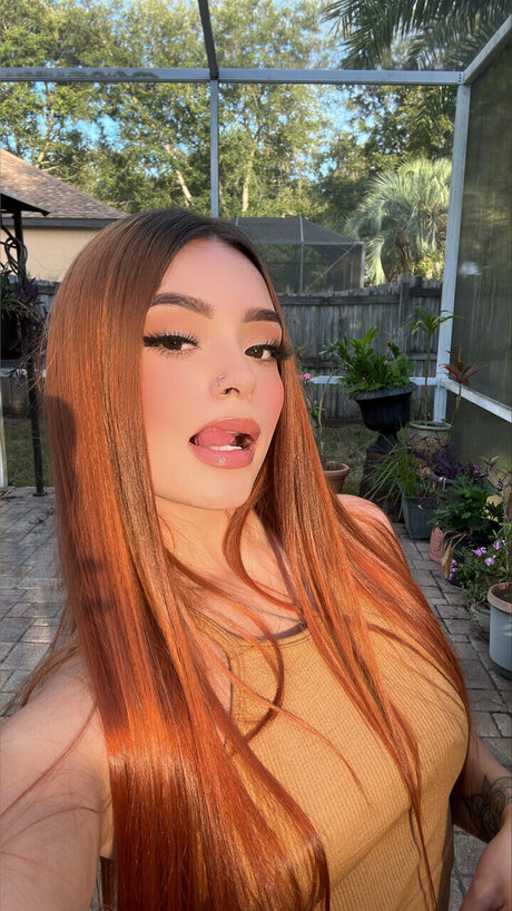 Amy luna star free gallery