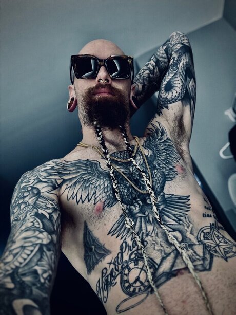 The Viking beard hd star galleries