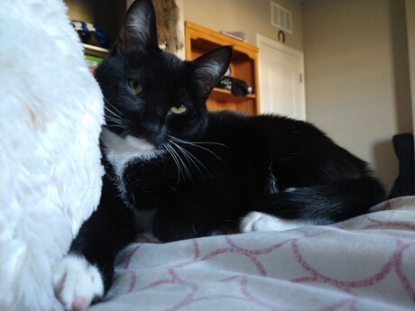 Liz 3 pornstar xxx photos