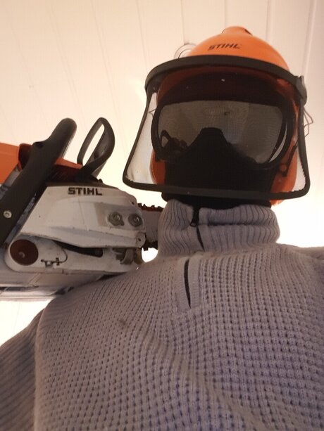 The Norwegian Dude art pornstar images