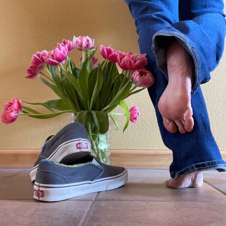 Queen of Vans star pictures