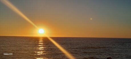 _Evitagold_ art actress pic