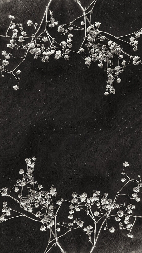 Cendre_ sexy pornstar galleries