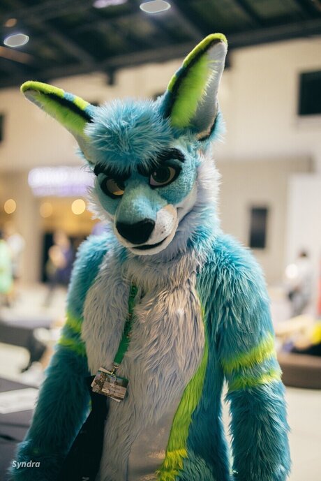 TechRoo and Zoomy model erotic pics