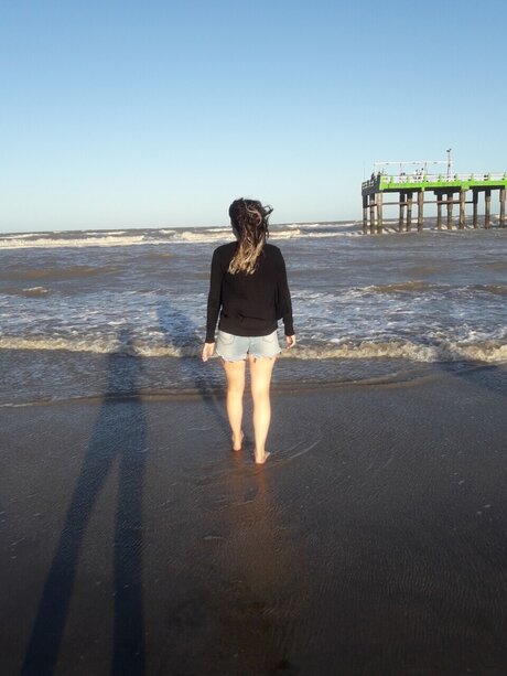 Denise_ model archive