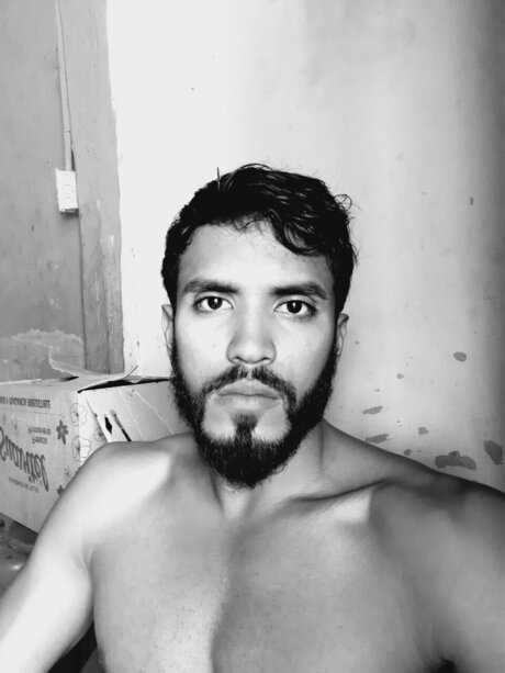 Josue Z G beautiful star gallery