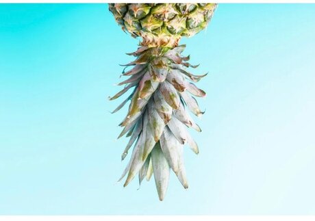 Tara D nice star archive