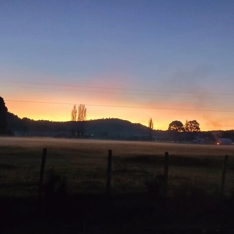 Tavita pornstar erotic pic