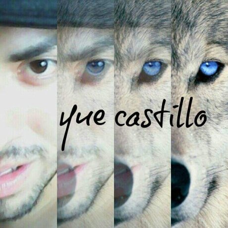 Orlando Castillo best star archive