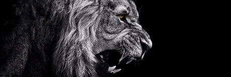 Nu Des Mondes pornstar nice pictures