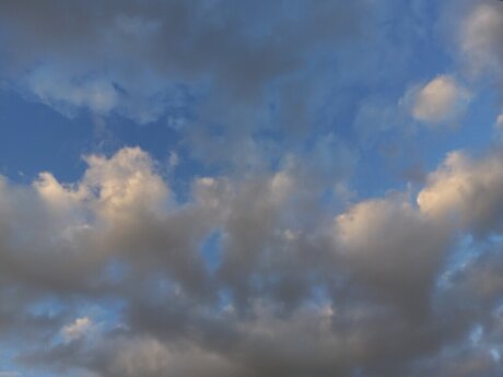 Loring pretty pornstar images