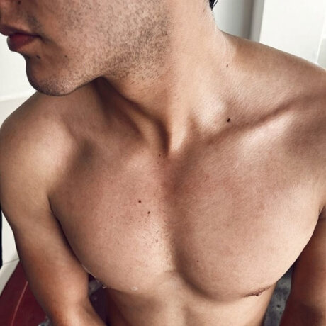 V ctor Santoro model best photo