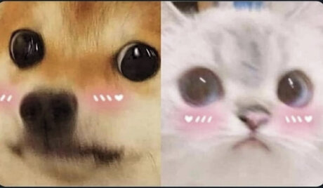 Sugar Rush_ pornstar exclusive archive