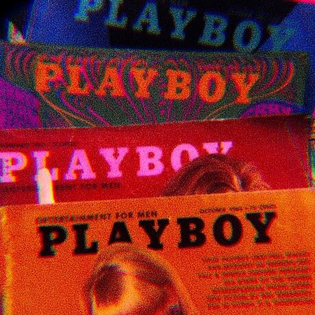 L koi pornstar nice pics