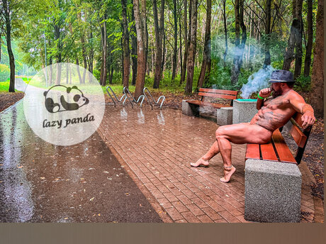 Lazy Panda top star images