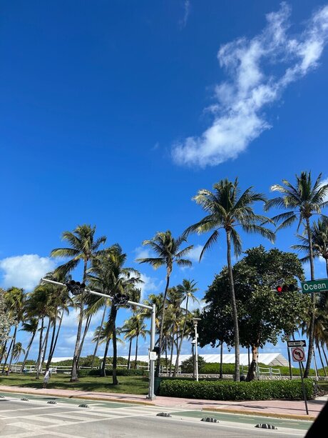 _Jilliana pretty model img