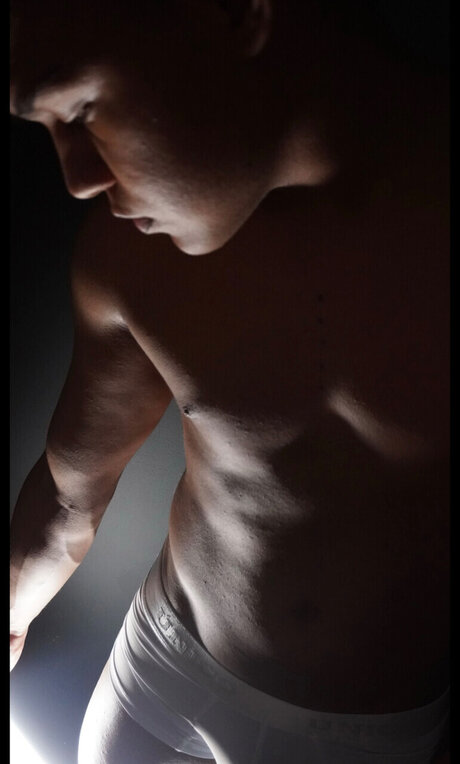 D A R W I N star best picture