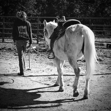 that southern girl pornstar sex photos