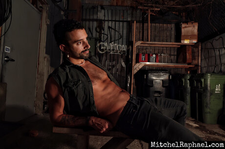 Denver Spruce art pornstar archive