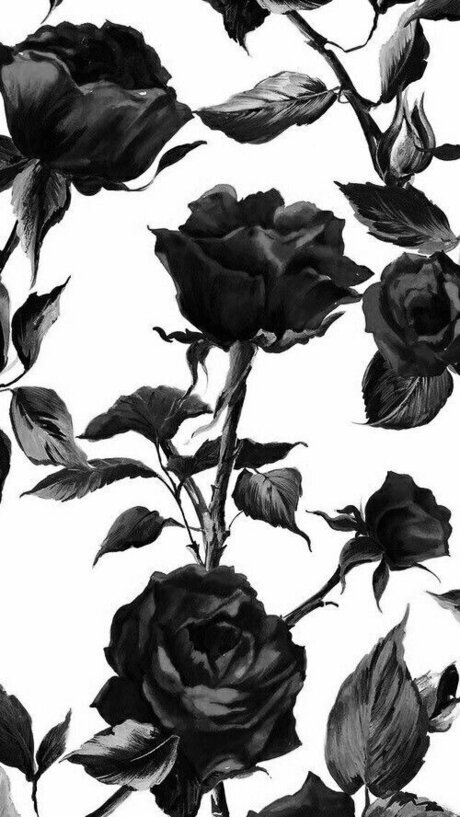 Tessie12 exclusive actress image