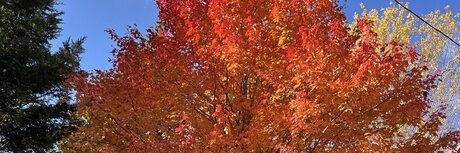 Southerncub beautiful actress archive