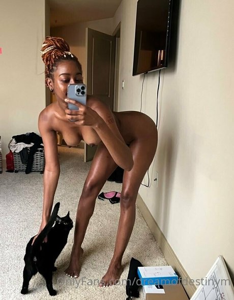 dreamofdestinym model art pics