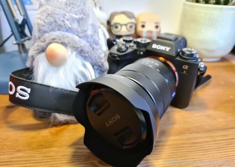 juneliu model sexy img