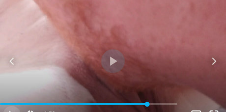 xamillafree high quality star archive