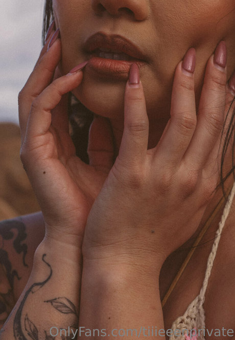 cattiiieeen star top img