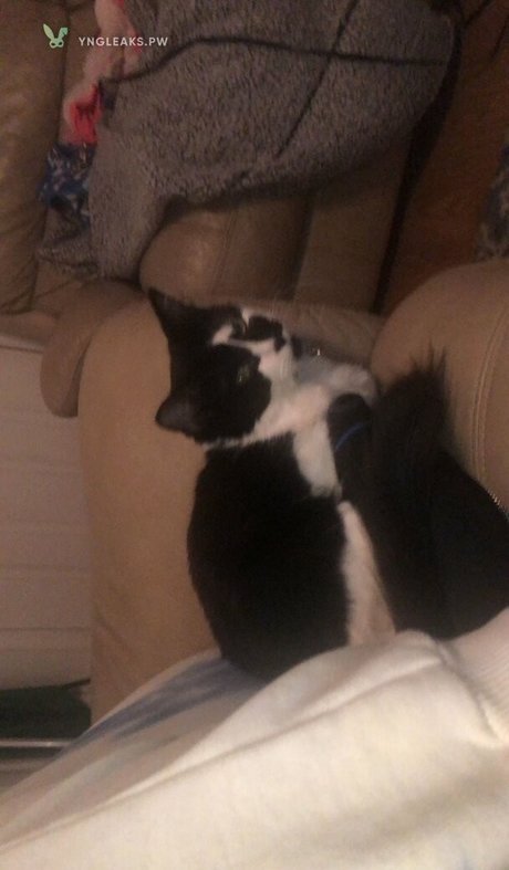 Vicky Escobar best pornstar photos