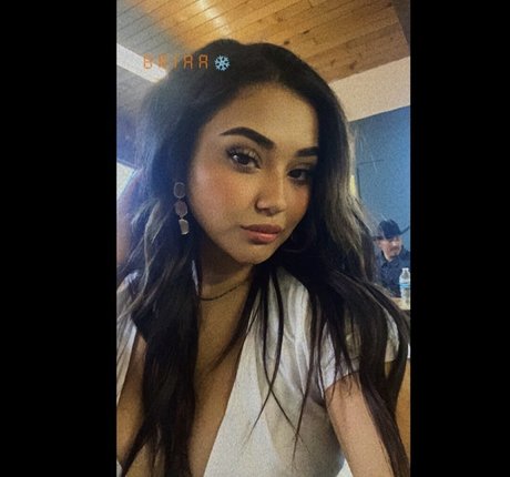 briaaniicolexo star free images